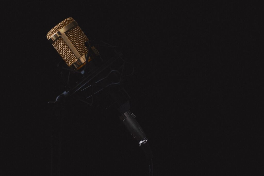 studio microphone